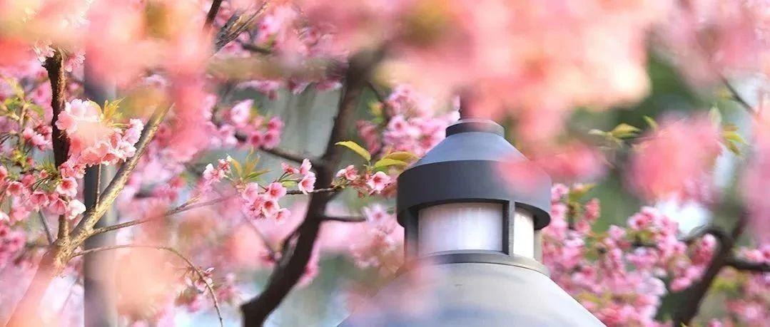 致敬了不起的她 | 眼中有光，心中有夢(mèng)，世界因您而更美